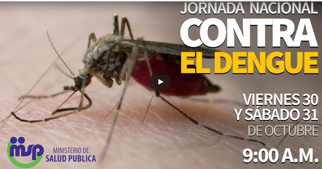 Jornada Nacional contra el Dengue.