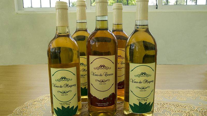 Vinos de maguey y cereza