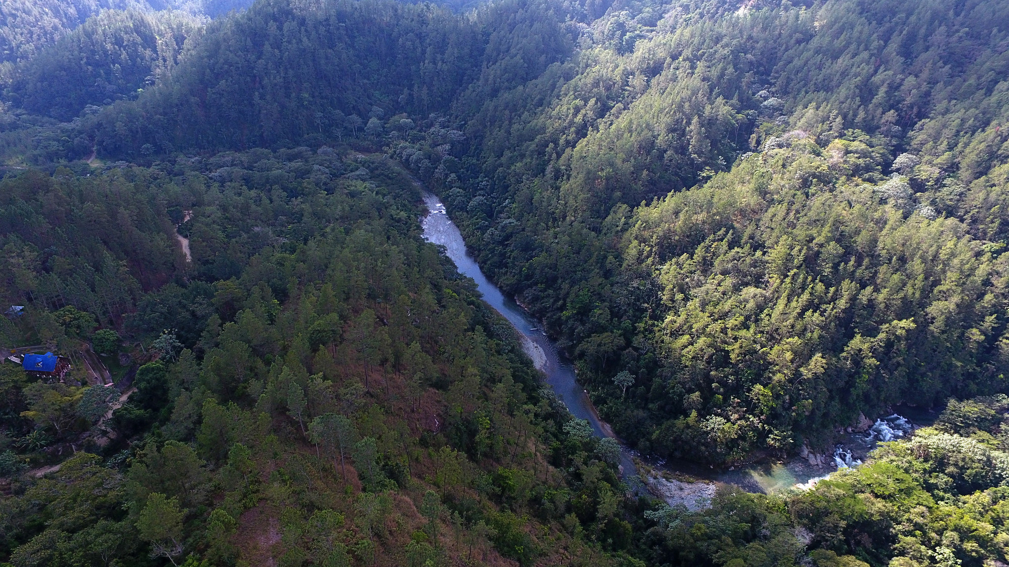 Campaña de Reforestación