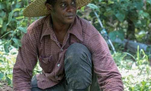 Agricultores de Monte Plata