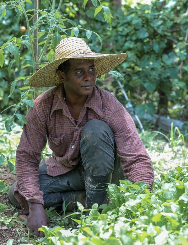 Agricultores de Monte Plata
