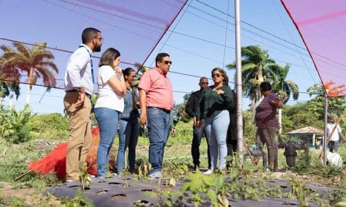 El director de Contrataciones con miembros de cooperativa de mujeres productoras de Monteplata. 