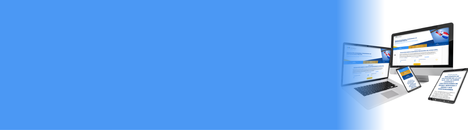 Banner Consultas Públicas