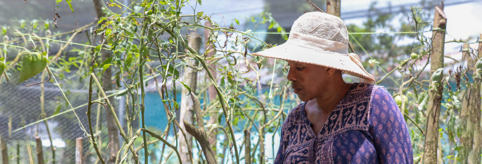 Cooperativa de Monte Plata